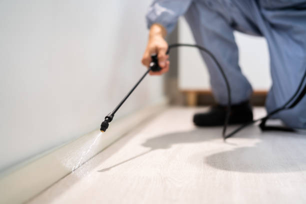 Licensed Pest Control service in Brooklyn, WI - Show Me Pest Control